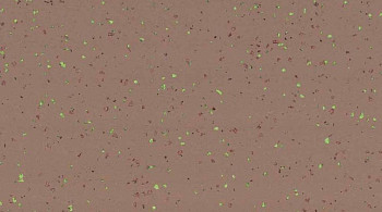 Линолеум Taralay Premium Comfort INDIANA 8059 NICOBAR фото 1 | FLOORDEALER